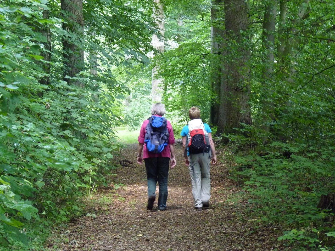 Wanderer im Kuhmühler Wald, © Touristikverband Landkreis Rotenburg (Wümme)  e.V. / Udo Fischer und Petra Welz