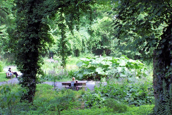 Blick in den sommerlichen Garten von Göttingen, © Göttingen Tourismus e.V.	/ Angelika Daamen