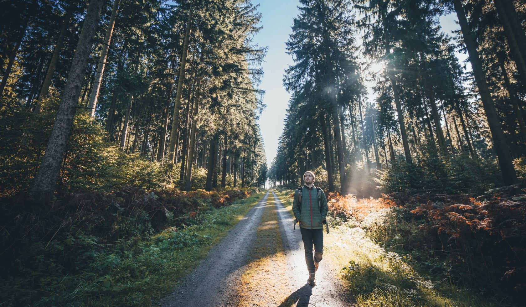 Wanderer geht auf Waldweg in einem Fichtenwald im Naturpark Solling-Vogler im Weserbergland, © TourismusMarketing Niedersachsen GmbH / German Roamers / Johannes Becker
