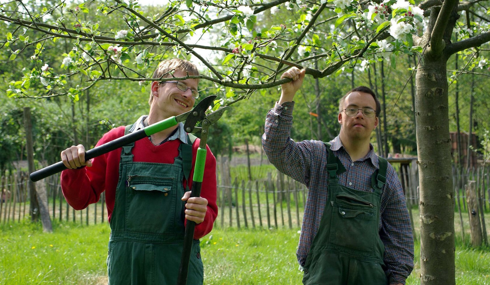 Die Mitarbeiter der Lebenshilfe beim Apfelbaumbeschneiden, © Stiftung Freilichtmuseum am Kiekeberg
