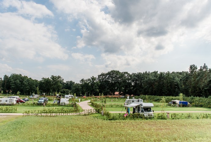 Das Bild zeigt den Stellplatz des Campingparks auf dem einige Wohnwagen und Wohnmobile stehen., © FBCamping / Elena Bokelmann