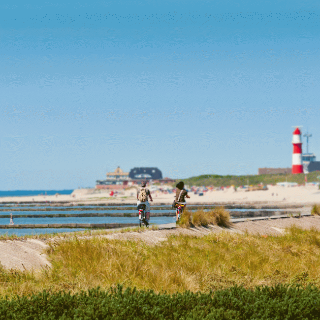 Zwei Radfahrer fahren auf ihren Fahrrädern entlang der Nordsee auf Borkum., © Int. Dollard Route e.V. / Gerd Kaja