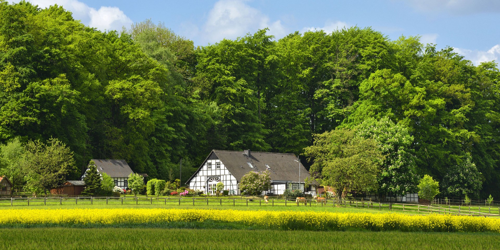Landschaft und Fachwerkhaus bei Hagen im Teutoburger Wald, © Tourismusverband Osnabrücker Land / Dieter Schinner