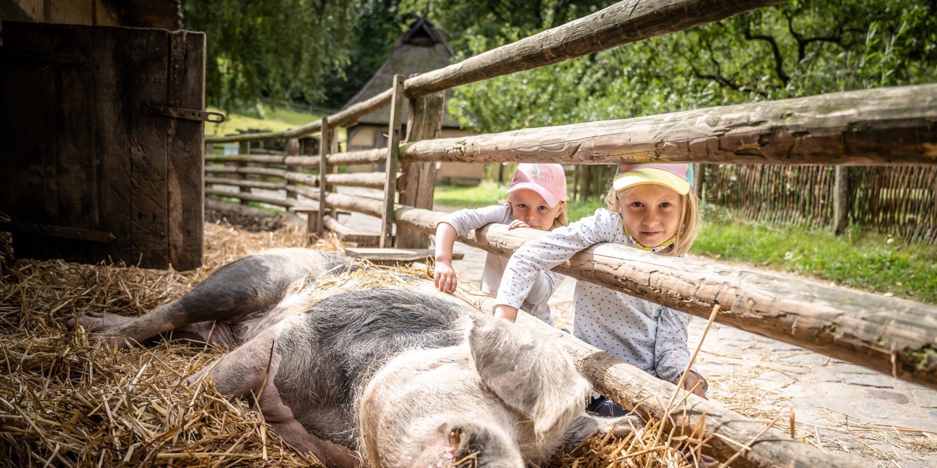 Kinder streicheln Bunte Bentheimer Schweine, © Freilichtmuseum am Kiekeberg
