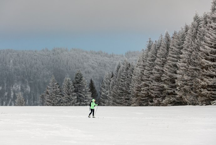 Langläufer fährt durch die Harzer Winterlandschaft, © Markus Tiemann