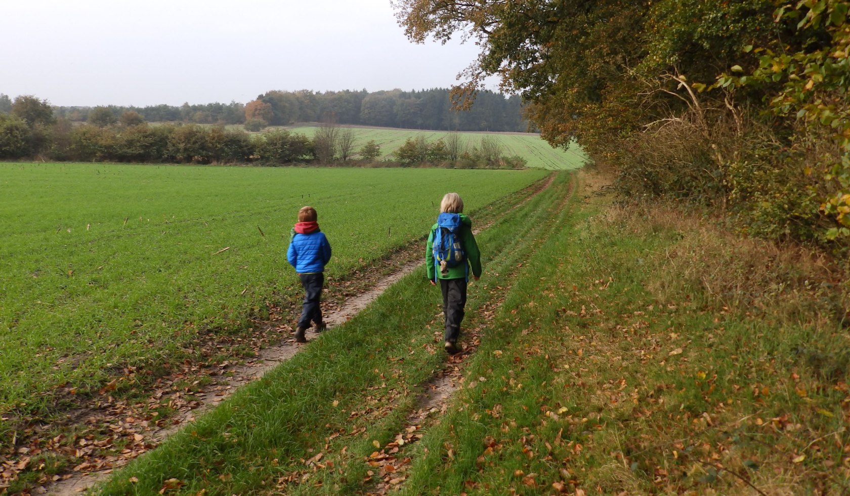 Zwei Kinder Wandern zwischen Feldern und Wäldern., © Touristikverband Landkreis Rotenburg (Wümme)