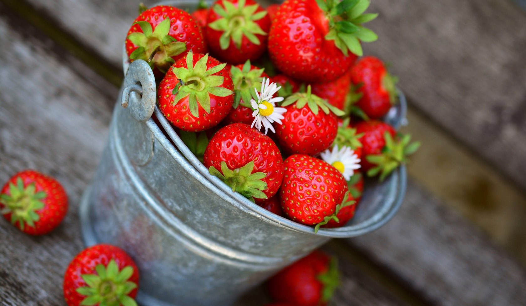 Erdbeeren gepflückt, Zinkeimer, auf Holz, © Pixabay: strawberries-3431122_1920
