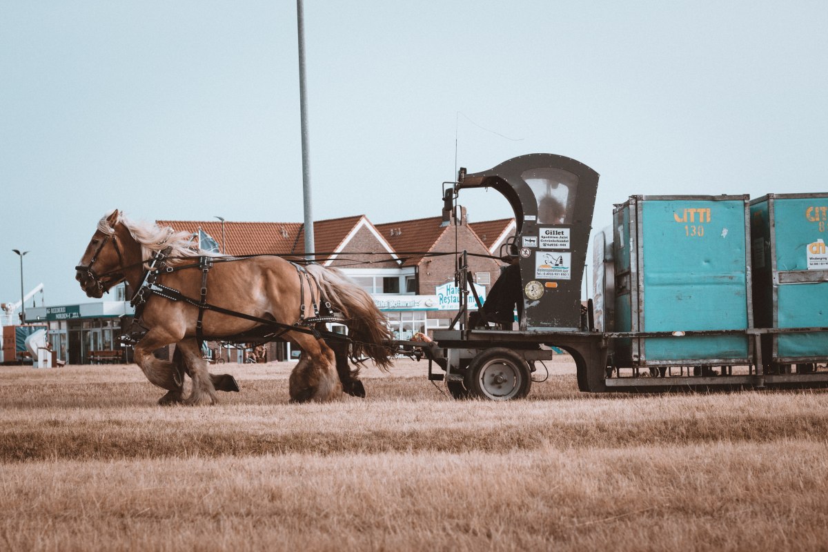 Pferde ziehen Bahn auf Insel Juist, © Ibrahim Rifath / unsplash