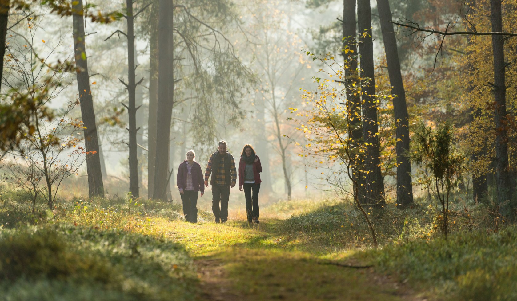 Drei Wanderer auf grasbewachsenem Weg in lichtem Kiefernwald, © Lüneburger Heide GmbH/ Dominik Ketz