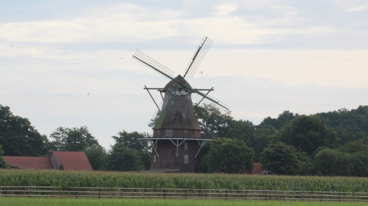 Sprakener Windmühle, © Mittelweser-Touristik GmbH