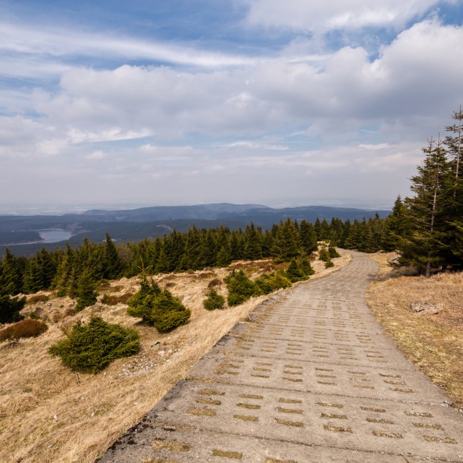Kolonnenweg am Grenzweg im Harz, © Adobe Stock / Oliver Henze
