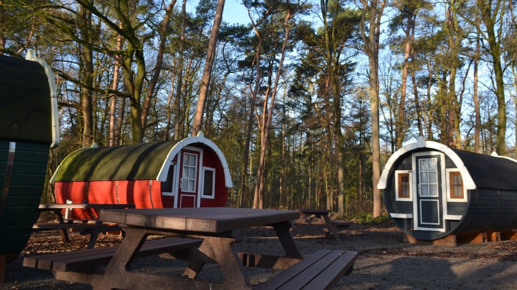 Drei Schlaffässer stehen mitten in einem Wald., © Camping Hümmlinger Land / Albers