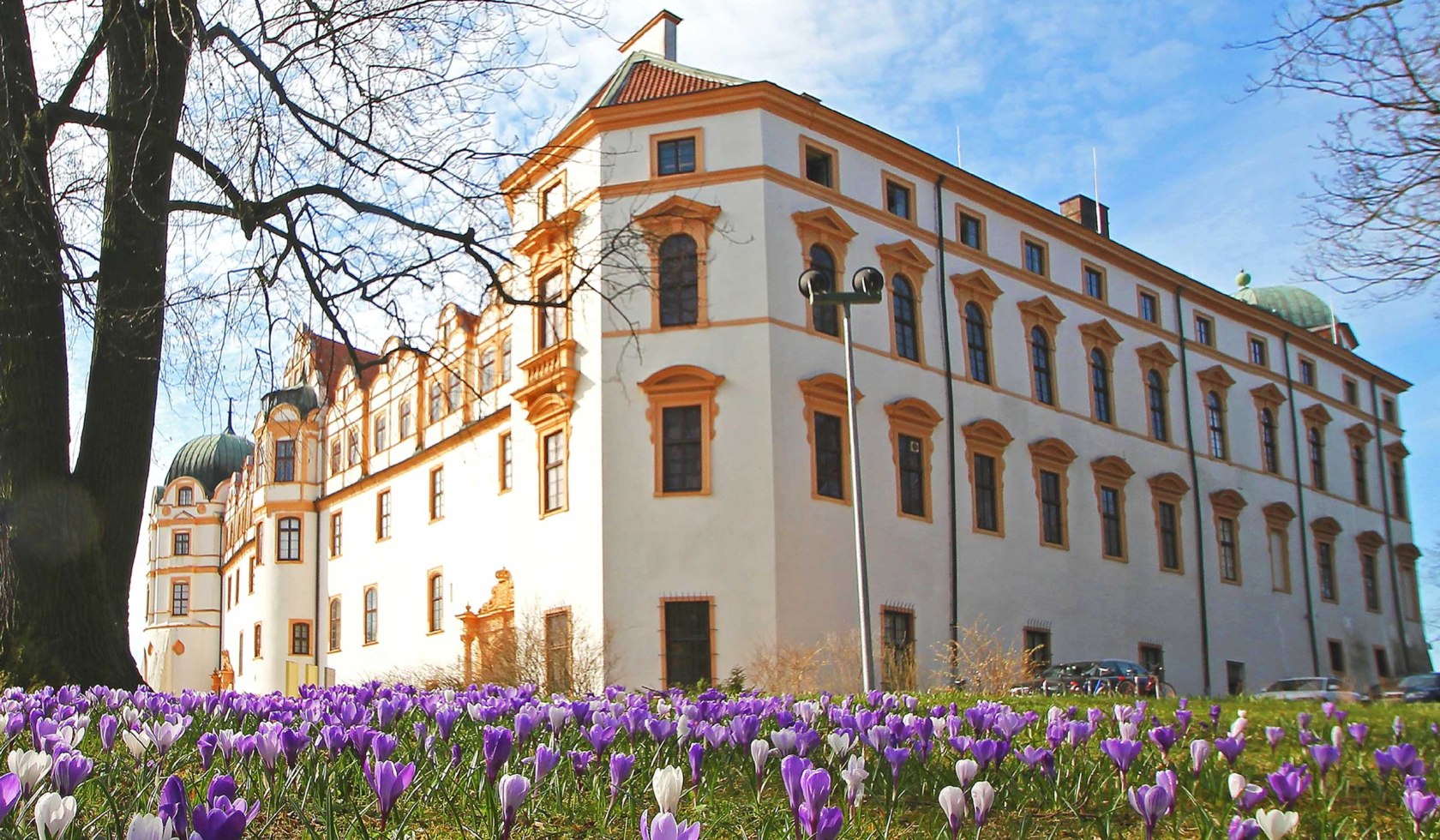 Das Schloss Celle mit Krokussen im Vordergrund, © Celle Tourismus und Marketing GmbH / K. Behre