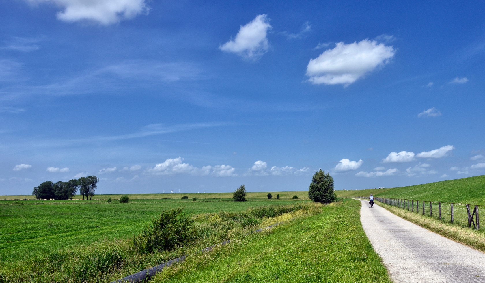 Landschaft mit Radwanderin bei Hatzum in der Gemeinde Jemgum, Landkreis Leer, Südliches Ostfriesland, © Dieter Schinner 
