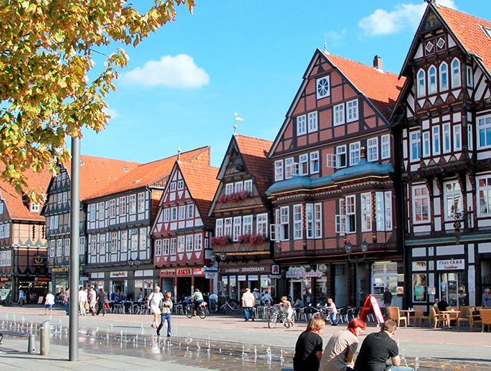 Esel im LandPark Lauenbrueck